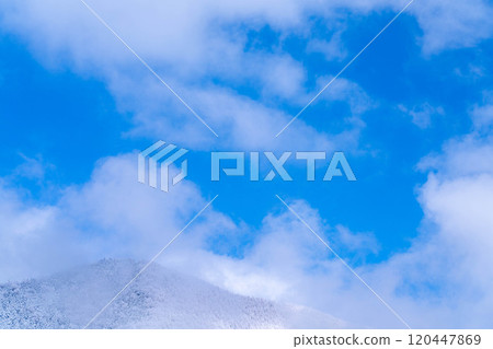 [Material of hoarfrost] A world of white and blue, hoarfrost and blue sky [Nagano Prefecture] 120447869