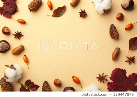 Autumn composition. Dried leaves, flowers, berries on beige background. Thanksgiving day concept. Flat lay, top view, copy space 120447876