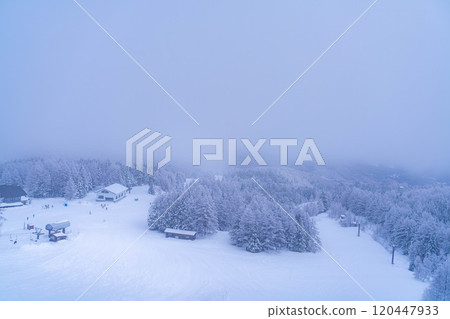[Frost material] Frost on the Norikura Plateau [Nagano Prefecture] 120447933