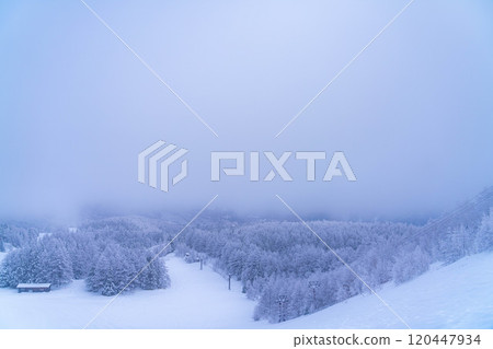 [Frost material] Frost on the Norikura Plateau [Nagano Prefecture] 120447934