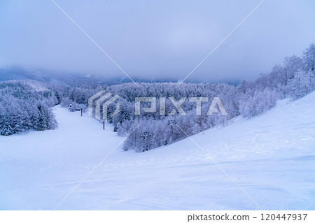 [Frost material] Frost on the Norikura Plateau [Nagano Prefecture] 120447937
