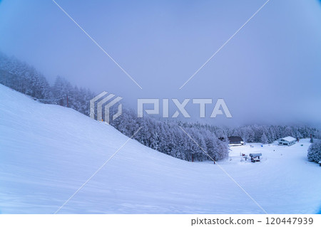 [Frost material] Frost on the Norikura Plateau [Nagano Prefecture] 120447939