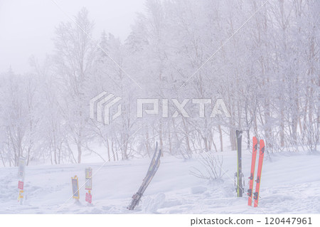 [Frost material] Frost on the Norikura Plateau [Nagano Prefecture] 120447961