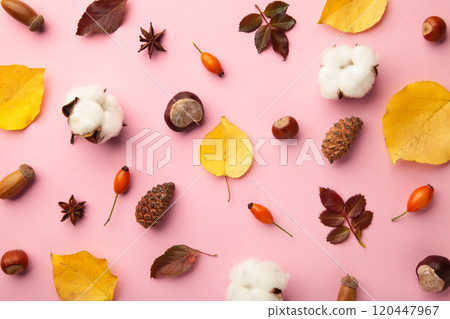 Autumn composition. Dried leaves, flowers, berries on pink background. Thanksgiving day concept. Flat lay, top view, copy space 120447967