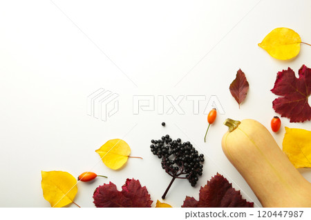 Autumn composition. Pumpkins, dried leaves on pastel gray background. Autumn, fall, halloween concept. Flat lay, top view, square, copy space Autumn composition. Pumpkins, dried leaves on pastel gray background. Autumn, fall, halloween concept. Flat lay, top view, square, copy space 120447987