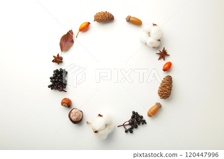 Autumn composition with dried flower and leaves on grey background. Autumn composition with dried flower and leaves on grey background. 120447996
