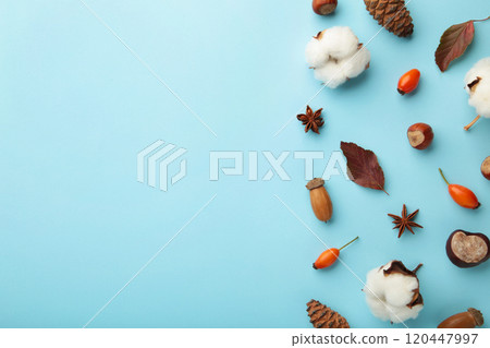 Autumn composition. Dried leaves, flowers, berries on blue background. Thanksgiving day concept. Flat lay, top view, copy space Autumn composition. Dried leaves, flowers, berries on blue background. Thanksgiving day concept. Flat lay, top view, copy space 120447997