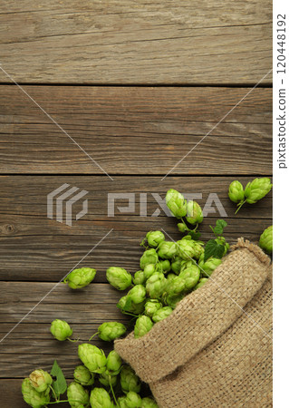 Hop in a burlap bag on a grey background. Vertical photo 120448192