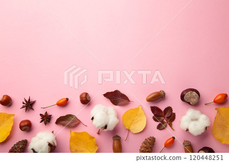 Autumn composition. Dried leaves, flowers, berries on pink background. Thanksgiving day concept. Flat lay, top view, copy space 120448251
