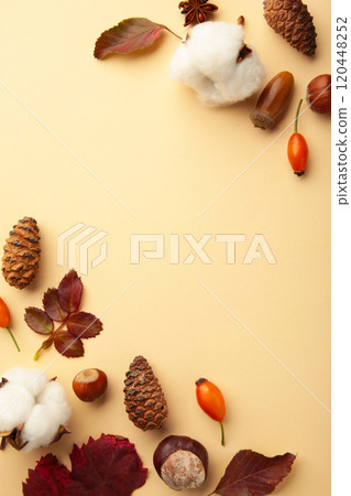 Autumn composition. Dried leaves, flowers, berries on beige background. Thanksgiving day concept. Flat lay, top view, copy space 120448252