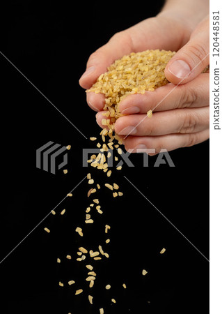 Hands pouring raw uncooked bulgur cereals cracked wheat on a black background. 120448581
