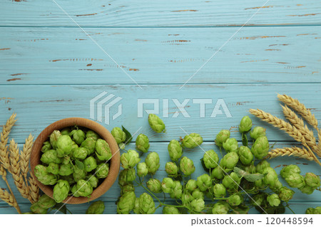 Hops and golden ripe wheat of cone on a old blue table Hops and golden ripe wheat of cone on a old blue table 120448594