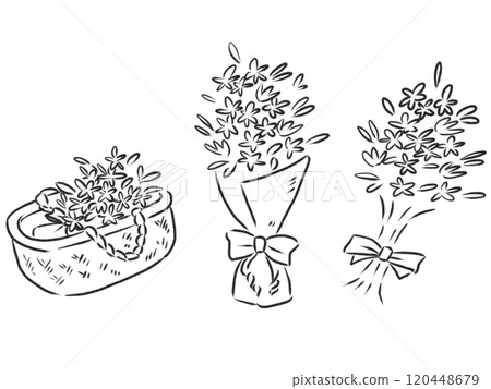 各種花束的線條圖 120448679