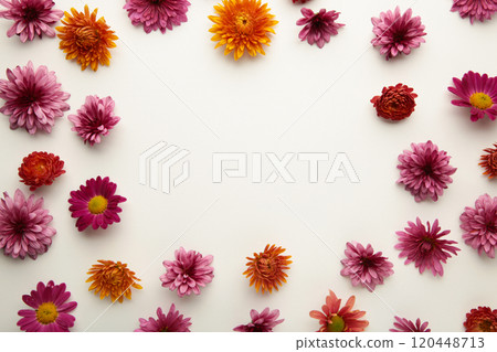 Pink flowers on white paper background. Flower composition 120448713