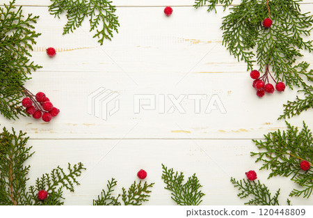 White background with thuja branches and viburnum. Place for text. Flat lay, top view. 120448809