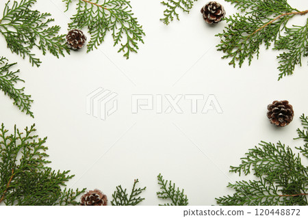 White background with thuja branches. Place for text. Flat lay, White background with thuja branches. Place for text. Flat lay, 120448872
