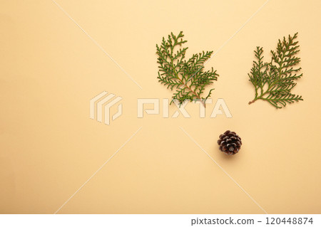 Thuja branch and christmas decoration on beige background. 120448874