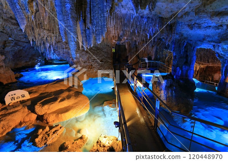 [Okinawa Prefecture] Gyokusendo Cave at Okinawa World Cultural Kingdom 120448970