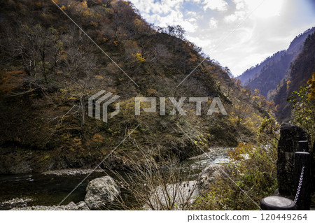 Kiyotsukyo 120449264