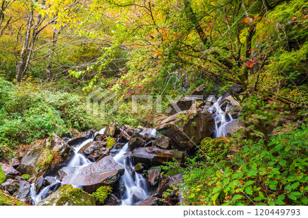 [Kanagawa Prefecture] Autumn in Hakone, Hiryu Falls 120449793
