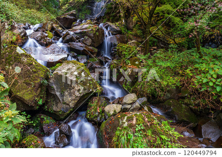 [Kanagawa Prefecture] Autumn in Hakone, Hiryu Falls 120449794