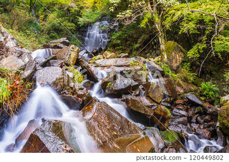 [Kanagawa Prefecture] Autumn in Hakone, Hiryu Falls 120449802
