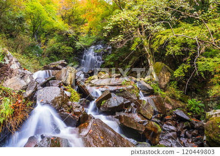 [Kanagawa Prefecture] Autumn in Hakone, Hiryu Falls 120449803