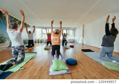 Senior Women Embrace Wellness: Yoga and Stretching in a Sunlit Space 120449957