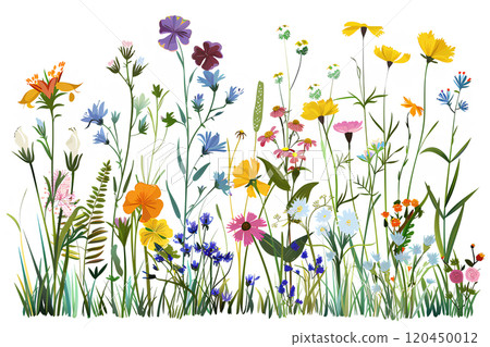 五顏六色的野花 120450012
