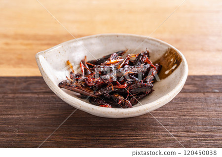 蝗蟲蝗蟲 蝗蟲蝗蟲 120450038