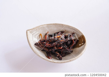 Locust of locusts 120450042