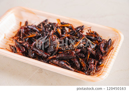 Packaged locusts in sweet syrup Packaged locusts in sweet syrup 120450163