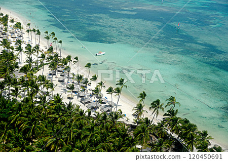 Tropical beach with palms and white sand 120450691