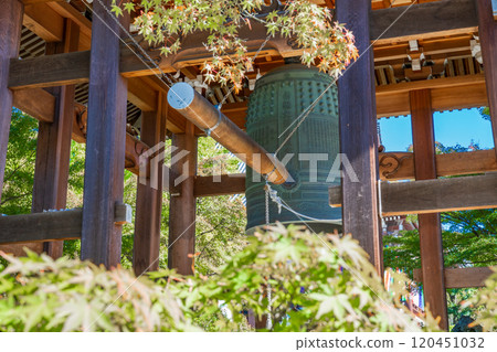 京都市東山區智積院的鐘聲 120451032