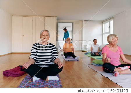 A senior woman's hand gracefully engages in various yoga poses, embodying the essence of active aging, health, and inner peace A senior woman's hand gracefully engages in various yoga poses, embodying the essence of active aging, health, and inner peace 120451105