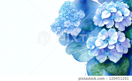 Hydrangea, Generative AI, AI images 120451201