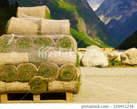 Stacks of sod rolls for new lawn 120451256