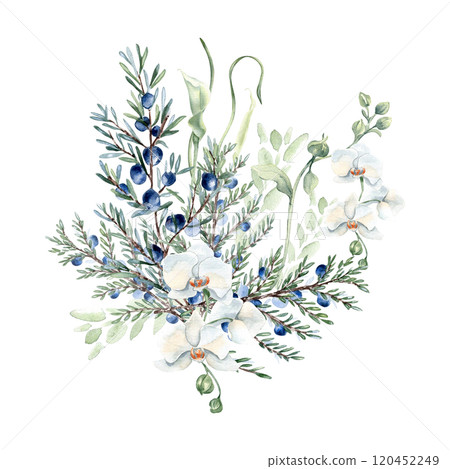 White orchids, eucalyptus and juniper in pastel tones watercolor composition isolated. Coniferous branches with white flowers in soft sage green hand drawn for nature label. Greenery design wall art. 120452249