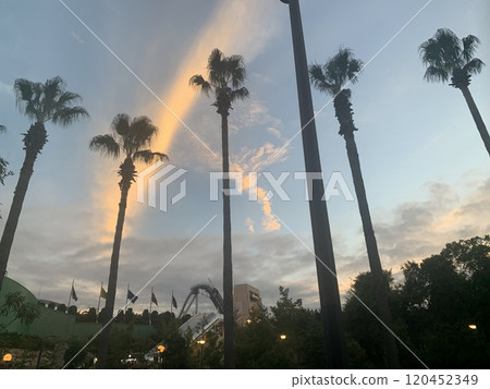 Palm trees, sunset, dusk, evening, plants, tourism, background, landscape Palm trees, sunset, dusk, evening, plants, tourism, background, landscape 120452349