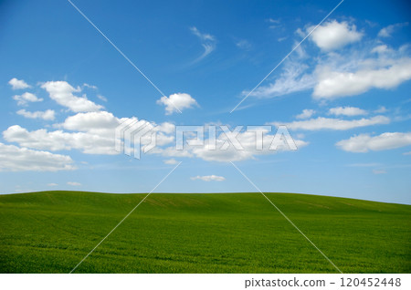 Green field with blue sky and clouds Green field with blue sky and clouds 120452448
