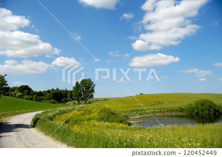 Landscape with lake and path Landscape with lake and path 120452449