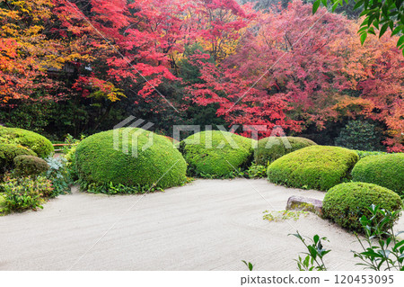 Autumn's Shiseido 120453095