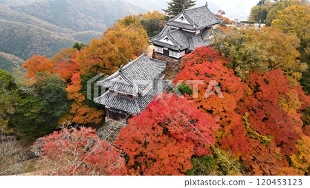 秋葉的天空山城【備中松山城】無人機空拍_TKBM_No67 120453123