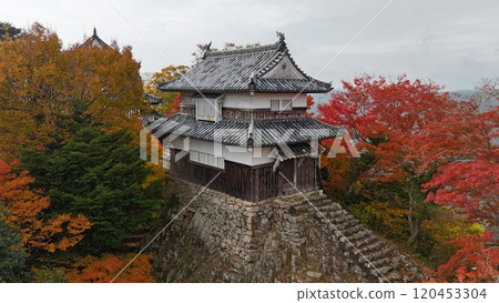 秋葉的天空山城【備中松山城】無人機空拍_TKBM_No60 120453304