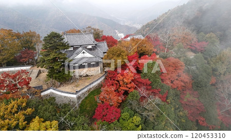 秋葉的天空山城【備中松山城】無人機空拍_TKBM_No36 120453310