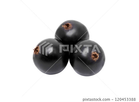 black currant berries isolated on white black currant berries isolated on white 120453388
