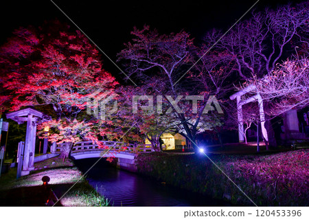 Autumn leaves of Tsu shrine 120453396