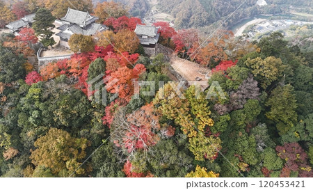 秋葉的天空山城【備中松山城】無人機空拍_TKBM_No46 120453421