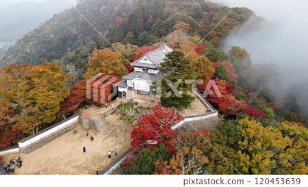 秋葉的天空山城【備中松山城】無人機空拍_TKBM_No27 120453639