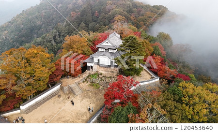 秋葉的天空山城【備中松山城】無人機空拍_TKBM_No28 秋葉的天空山城【備中松山城】無人機空拍_TKBM_No28 120453640